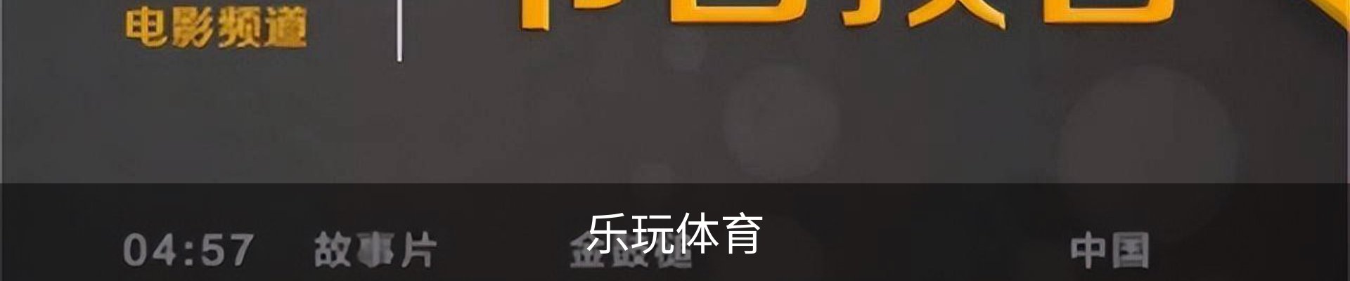 乐玩体育